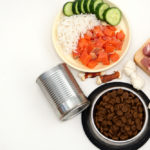 Pozor na to, aké granule psovi kupujete